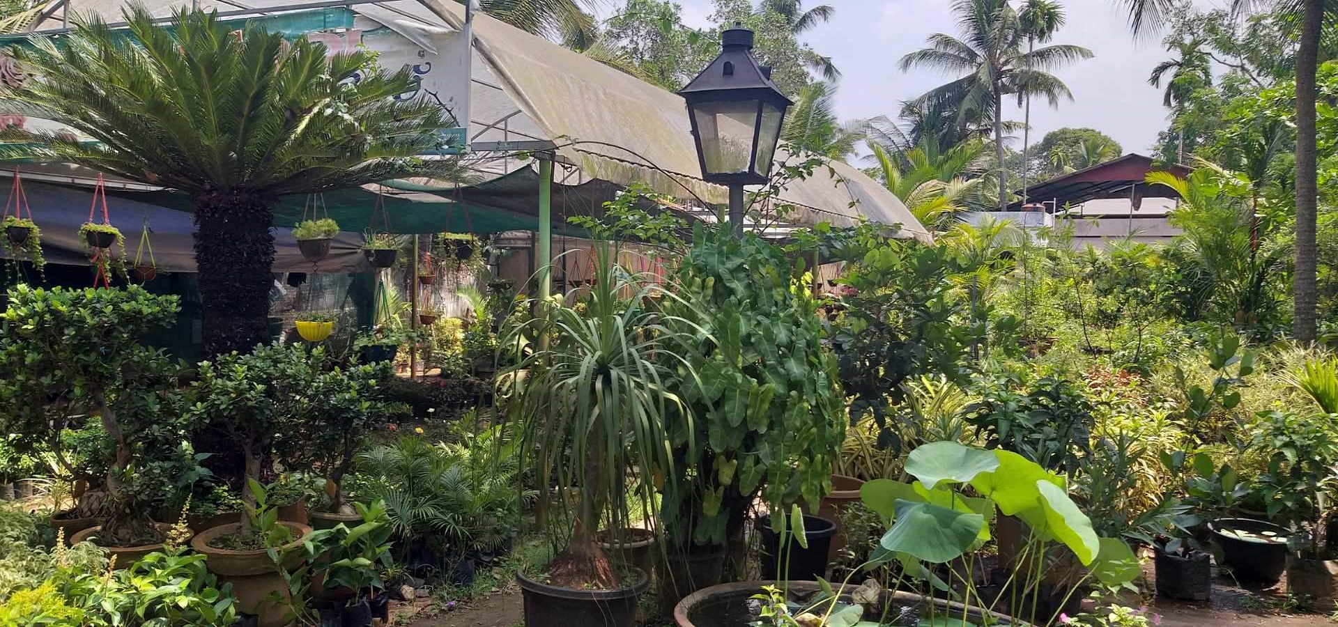 Kerala Kisan Kendra Agriculture Nursery 
