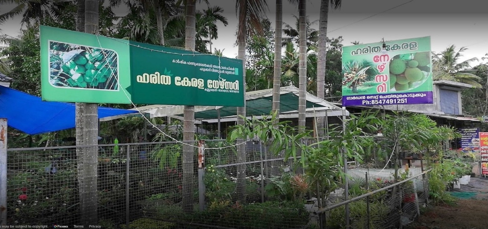 Haritha Kerala Nursery