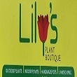 Lily's Plant Boutique