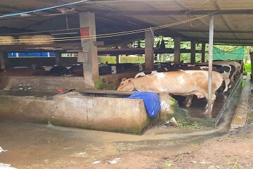 Aravind Dairy Farm